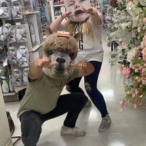 Meet your Posher, Conner